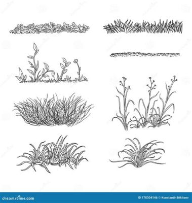 How to Sketch Grass: A Guide to Capturing its Essence on Paper